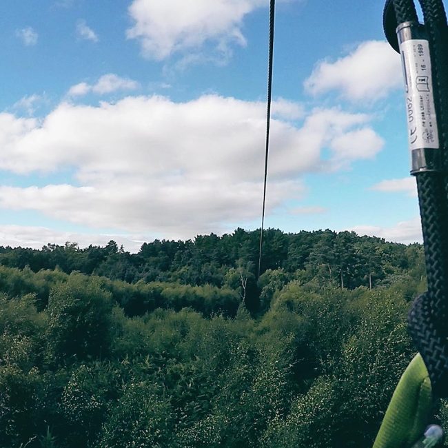 Go Ape